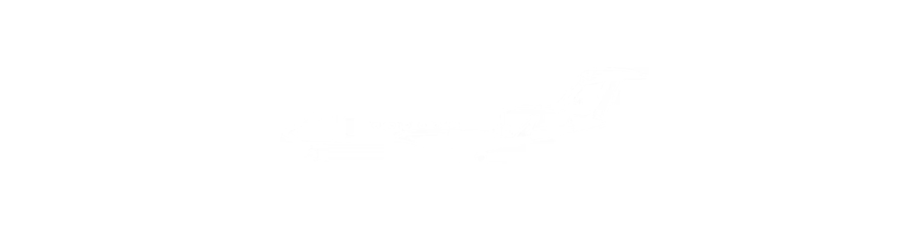 G500 Exterior Detail